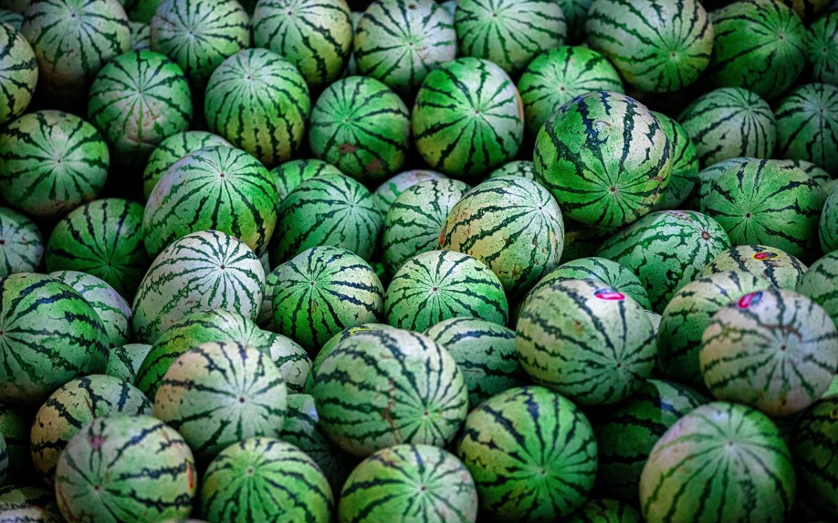 吾爱社区 华南吃瓜局栏目配图：深蓝色桌面上摊开的社区观察笔记与标注着话题标签的卡片，窗外是城市夜景